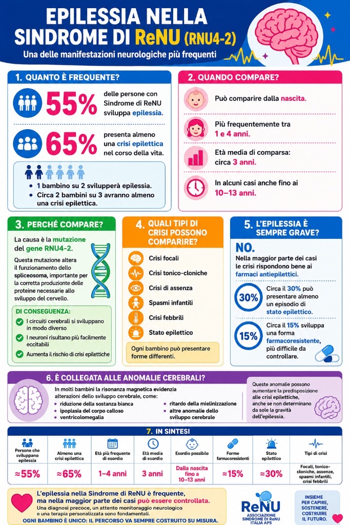 Infografica epilessia nella Sindrome ReNU: tipi di crisi, cause, prevalenza e gestione clinica