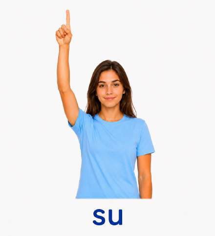 Gesto: Su