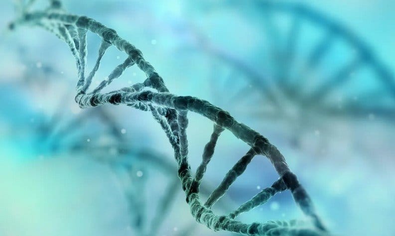 Maggiori Informazioni